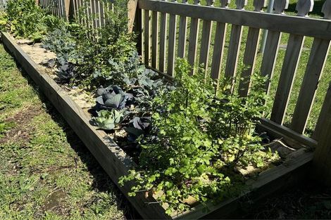 Photo of property in 6 Baker Street, Waihi, 3610