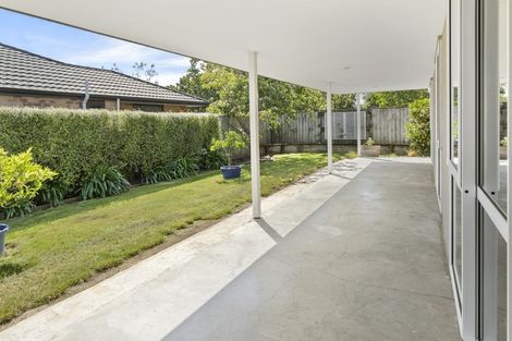 Photo of property in 145a Redwood Street, Redwoodtown, Blenheim, 7201