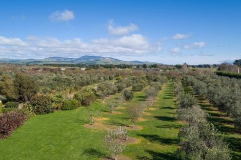Photo of property in 1/239 Lake Ferry Road, Martinborough, 5781