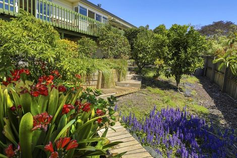 Photo of property in 50 Bayside Drive, Browns Bay, Auckland, 0630