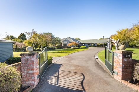 Photo of property in 125 Shirriffs Road, Awapuni, Palmerston North, 4412