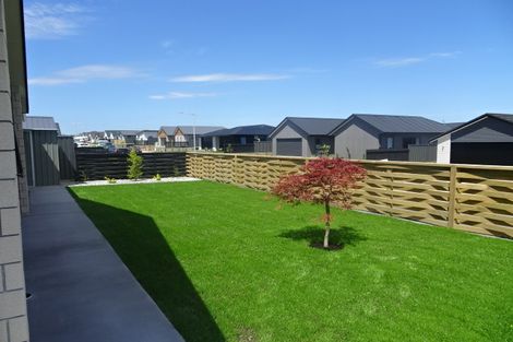 Photo of property in 3 Turnbridge Street, Pyes Pa, Tauranga, 3112