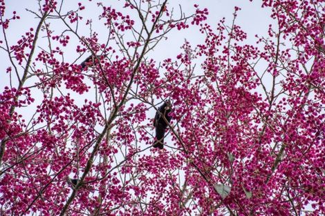 Photo of property in 26 Midland Lane, Aongatete, Katikati, 3181