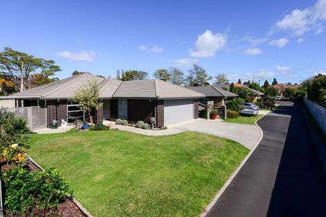 Photo of property in 26c Macfarlane Street, Hamilton East, Hamilton, 3216