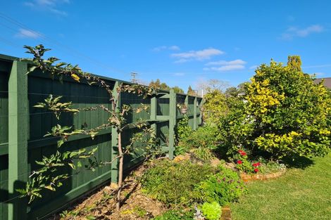 Photo of property in 15 Driving Creek Road, Coromandel, 3506