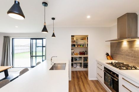 Photo of property in 197 Pacific Drive, Fitzherbert, Palmerston North, 4410