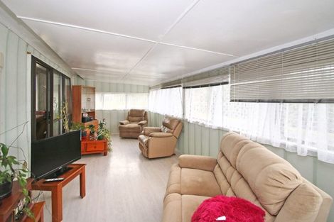 Photo of property in 21 Clothier Street, Putaruru, 3411