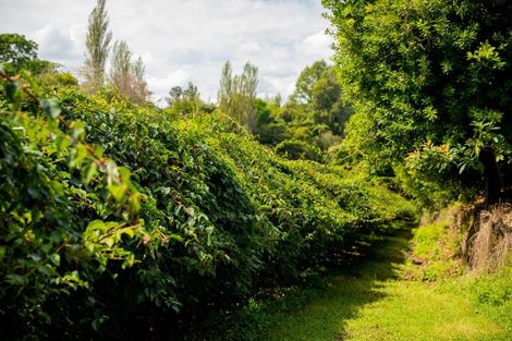 Photo of property in 827 No 1 Road, Te Ranga, Te Puke, 3182