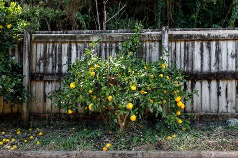 Photo of property in 5 Ramsden Place, Kawerau, 3127