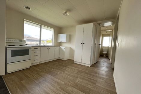 Photo of property in 86 Parker Avenue, Levin, 5510