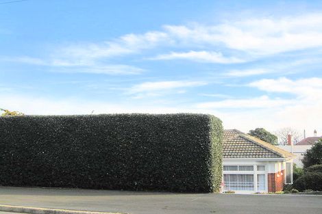 Photo of property in 105 Highcliff Road, Andersons Bay, Dunedin, 9013