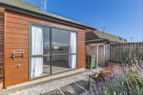 Photo of property in Rangeview Villas, 17/9 Fuller Close, Levin, 5510