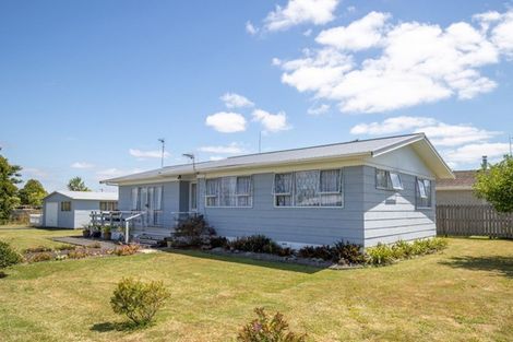 Photo of property in 1 Mcclean Place, Ngatea, 3503
