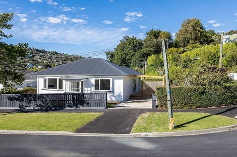 Photo of property in 29 Beechworth Street, North East Valley, Dunedin, 9010