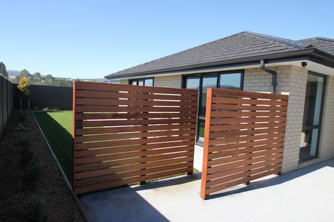 Photo of property in 8 Silverview Place, Mosgiel, 9024