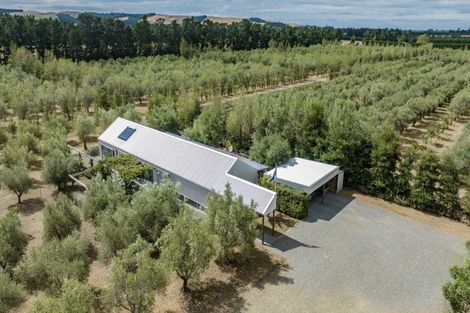 Photo of property in 179 Racecourse Road, Amberley, 7482