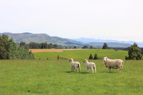 Photo of property in 58 Bryce Road, Dipton, 9791