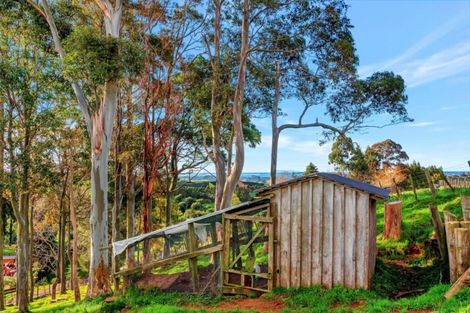 Photo of property in 399 Wainui Road South, Whakamarama, Katikati, 3181