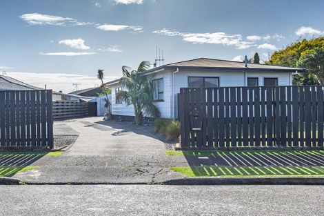 Photo of property in 9 Martin Harvey Street, Levin, 5510