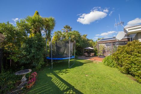 Photo of property in 12 Linmor Place, Terrace End, Palmerston North, 4410