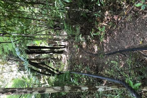 Photo of property in 1240 Manaia Road, Manaia, Coromandel, 3581