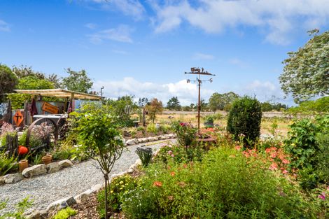 Photo of property in 12 Moreland Place, Mapua, 7005