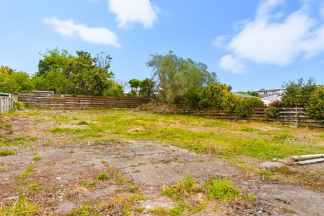 Photo of property in 8 Montgomery Street, Levin, 5510