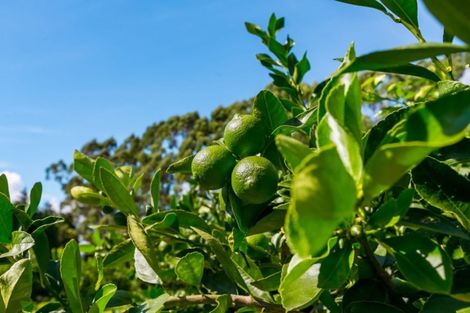 Photo of property in 109d Plummer Road, Whakamarama, Tauranga, 3179