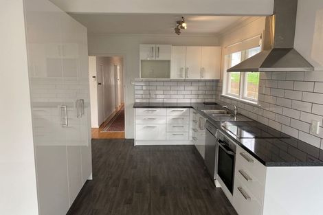 Photo of property in 49 Harvey Street, Tauranga South, Tauranga, 3112