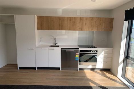 Photo of property in 24 Panoni Lane, Howick, Auckland, 2014