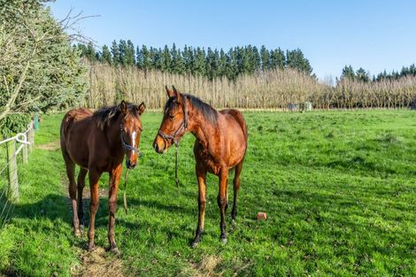 Photo of property in 664 Weedons Ross Road, West Melton, Christchurch, 7676