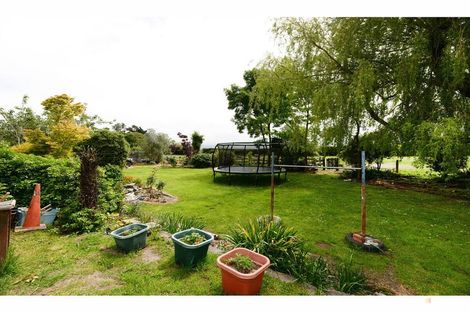 Photo of property in 66 Timaru Road, Waimate, 7924