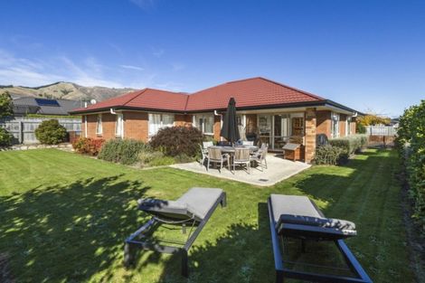 Photo of property in 19 Taranaki Place, Richmond, 7020