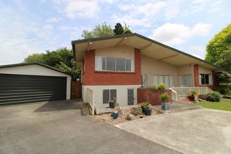 Photo of property in 17 Sylvan Place, Matamata, 3400