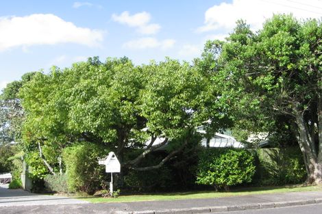 Photo of property in 53 Jaemont Avenue, Te Atatu South, Auckland, 0610