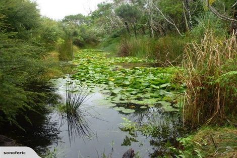 Photo of property in 347 Kimberley Road, Houhora, Kaitaia, 0484