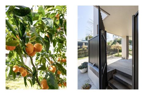 Photo of property in 8a Anchorage Grove, Maungatapu, Tauranga, 3112