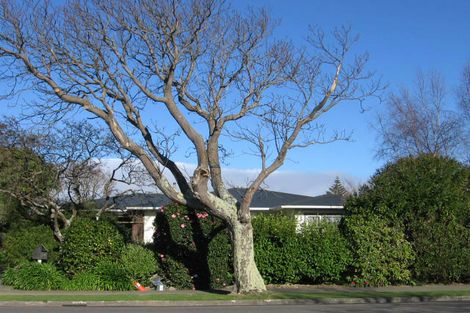 Photo of property in 12 Park Road, West End, Palmerston North, 4412
