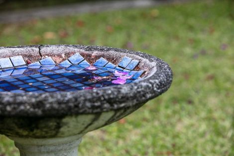 Photo of property in 2a Blundell Place, Katikati, 3129