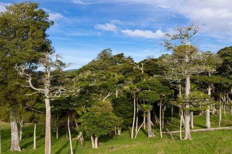 Photo of property in 54 Orotere Lane, Kaeo, 0478