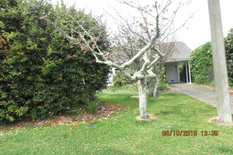 Photo of property in 17 Black Street, Stoke, Nelson, 7011