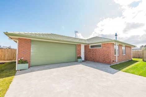 Photo of property in 20 Simon Street, Tawhero, Whanganui, 4501