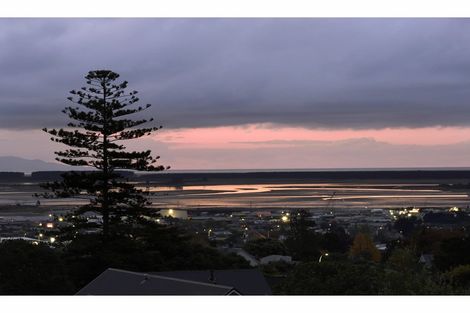 Photo of property in 10 George Kidd Street, Richmond, 7020