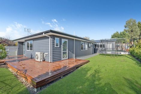 Photo of property in 45c Costley Street, Carterton, 5713