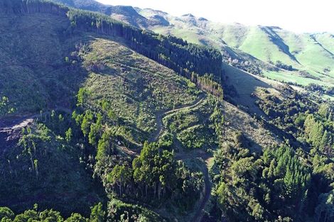 Photo of property in 90 Bachelors Road, Little River, 7591