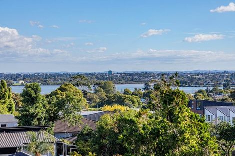 Photo of property in 29a Grassways Avenue, Pakuranga, Auckland, 2010