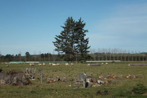 Photo of property in 675 Woodbury Road, Woodbury, Geraldine, 7991