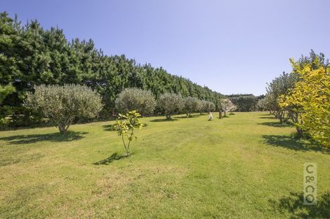 Photo of property in 144 Taupaki Road, Taupaki, Henderson, 0782