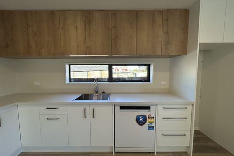 Photo of property in 45c Ryan Street, Phillipstown, Christchurch, 8011