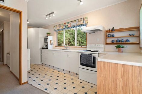 Photo of property in 27 Signal Hill Road, Opoho, Dunedin, 9010